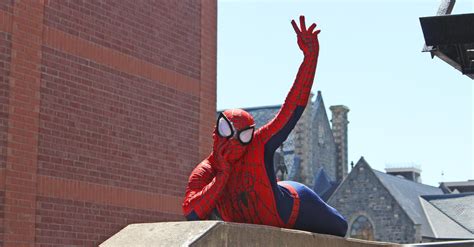 Free Stock Photo Of Funny Marvel Spider Man