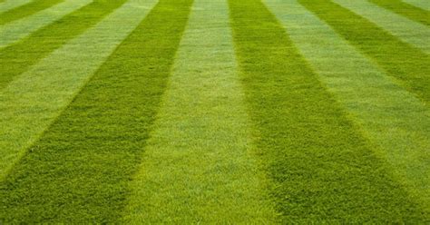 How To Make Lawn Mowing Patterns In Your Yard Urban Splatter