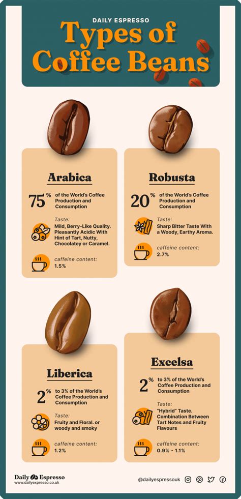 Types Of Coffee Beans All 4 Species Explained Pictures