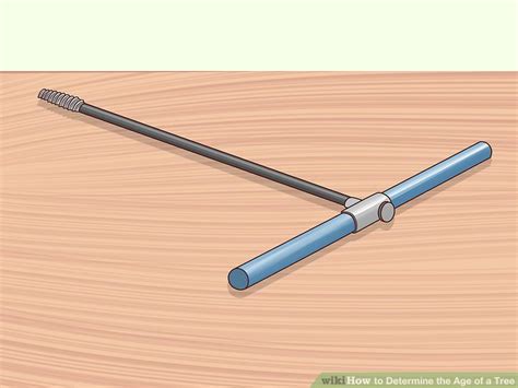 4 Ways To Determine The Age Of A Tree Wikihow