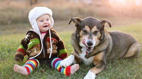 We offer fast and convenient pet services at marymoor dog park. Funny Babies Laughing Hysterically at Dogs Compilation ...