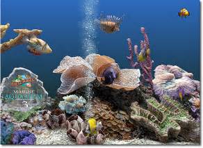 Saltwater Fish Wallpaper And Screensavers Wallpapersafari