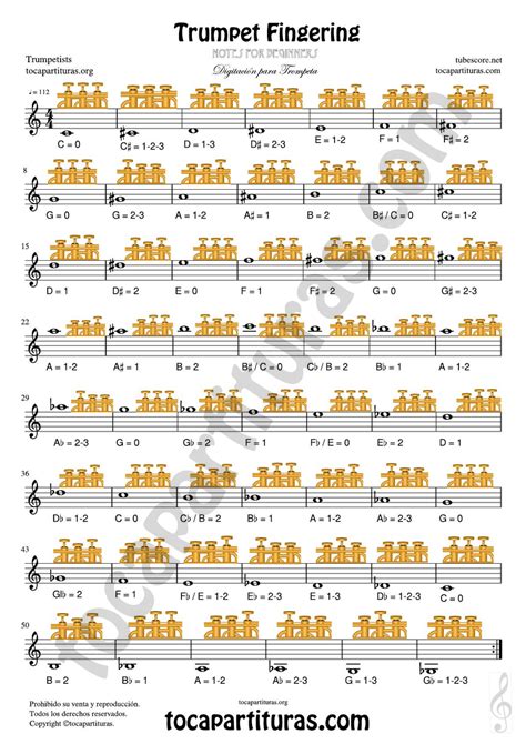 B Flat Trumpet Finger Chart Scale