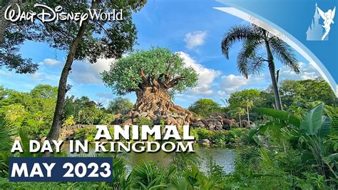 A Day At Disneys Animal Kingdom In Walt Disney World May 2023 Youtube