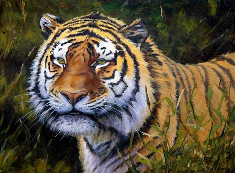Tiger Painting Amur Tiger