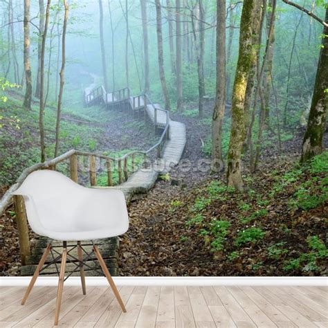 Foggy Forest Stairway Wall Mural Wallsauce Us