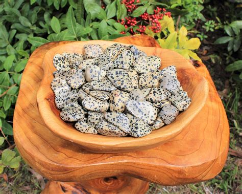 Dalmation Jasper Tumbled Stones Choose How Many Pieces Premium