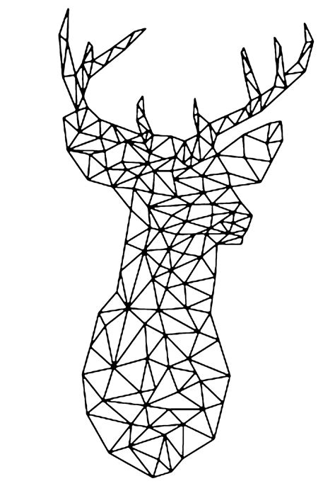 Coloring pages for kids deer coloring pages. Vectorial deer - Deers Adult Coloring Pages