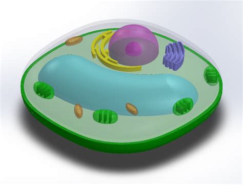 Plant Cell 3d