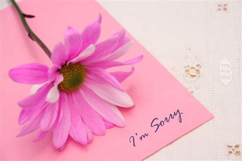 Letter to my boyfriend saying sorry. Quotes About Love: Tips How To Say Sorry To Your Boyfriend