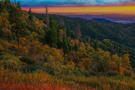 San Bernardino Mountains Near Peak California Fall Color