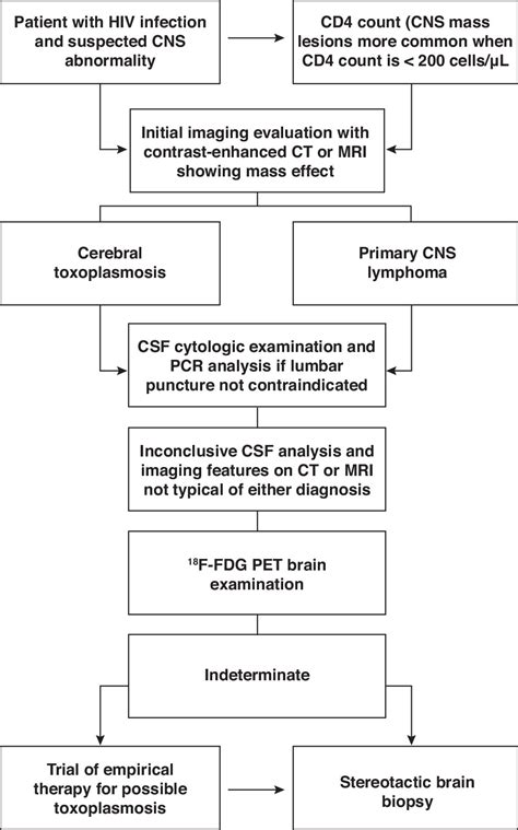 Imaging In Differentiating Cerebral Toxoplasmosis And Primary Cns