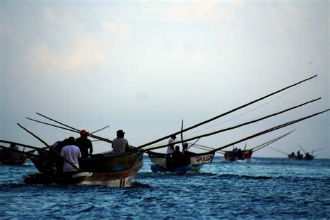 Aprueban Reformas A Ley General De Pesca Y Acuacultura Sustentables