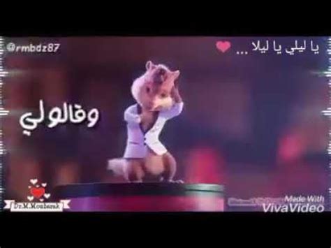 اغنية يا ليلي ويا ليلا بصوت السناجب. يا ليلي يا ليلا - giovani maria