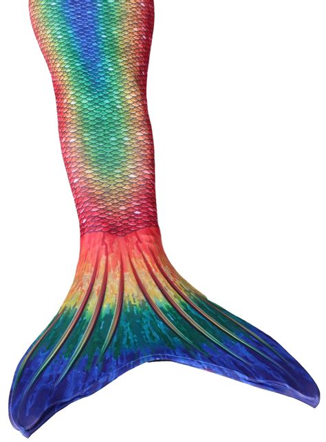 Mermaid Tail Png Png All