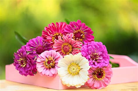 Did you know that there are over 4,000 songs about roses out there? Saying Congratulations to a Special one with Beautiful ...