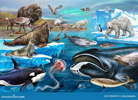 Fauna Of The Arctic Tundra And The Arctic Ocean Stock Illustration