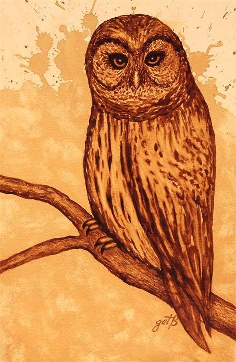 Barred Owl Coffee Painting Print By Georgeta Blanaru Coffee Painting
