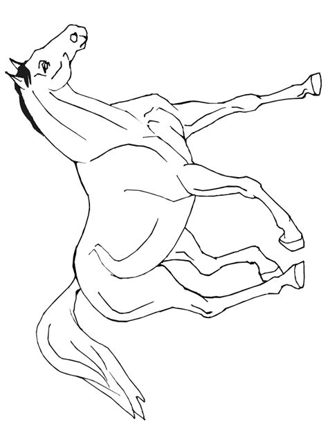 horse coloring page realistic horse