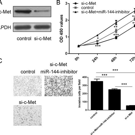 restoration of mir 144 inhibits c met mediated uveal melanoma cell download scientific diagram