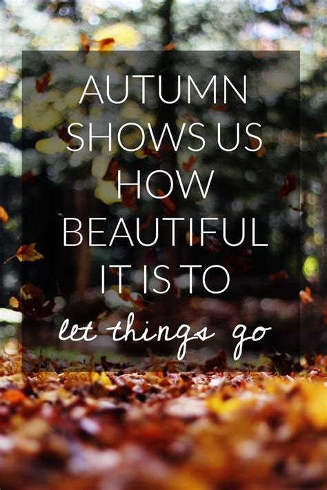 Autumn Shows Us How Beautiful It Is To Let Things Go Seasons Autumn