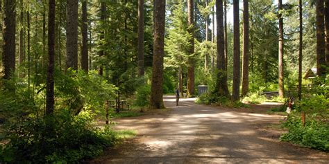 Silver Falls State Park Campground Outdoor Project