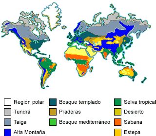Papel Pasta Subjetivo Mapamundi De Los Biomas Del Mundo Cuadrado Consejo Parecer