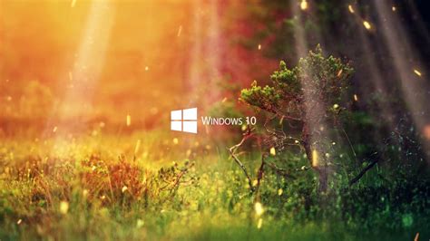 You can also upload and share your favorite nature 4k wallpapers. Nature 1080P - Windows 10 Series - Wallpaper - YouTube