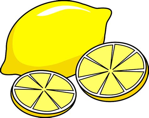Download Lemon Fruits Slices Royalty Free Vector Graphic Pixabay