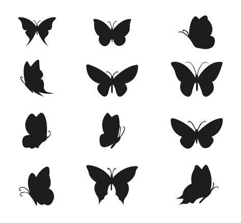 Premium Vector Butterfly Silhouette Vector Set