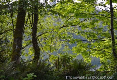 873 state route 122, silver creek, wa 98585. Smriti's World: Ike Kinswa State Park Cabins