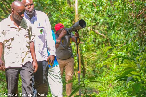 7 Days Western Kenya Bird Watching Safari Turnuptravel