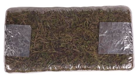 Depending on the species of sphagnum, it can retain water almost 20 times its own dry weight. Mulches to Increase Acidity | Home Guides | SF Gate