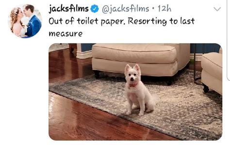 With the help of using that font family, this application is created. Cursed toilet paper : cursedcomments
