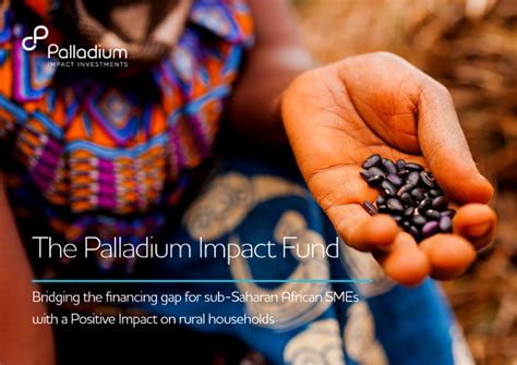 You may be looking to create a diversified. Bridging the Gap: Palladium Launches New Impact Investment ...