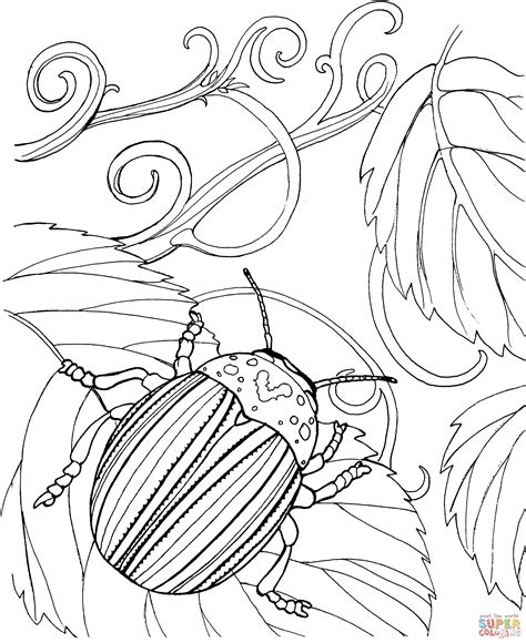 Japanese Beetle Coloring Online | Super Coloring