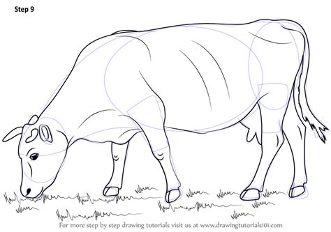 B) squealer's uncertainty shows that he is not a reliable ally of napoleon and is ineffective with messaging. Learn How to Draw a Cow (Farm Animals) Step by Step : Drawing Tutorials | Cow drawing, Cow ...