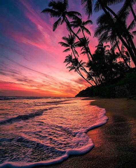 Travel Never Stops On Instagram Sunsets In Hawaii 🌴 Follow Travel