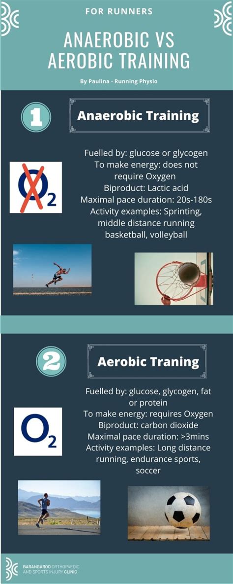 What Is Anaerobic Vs Aerobic Exercise Barangaroo Orthopaedic And
