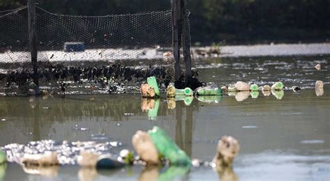 Activists Protest Rio Water Pollution Broken Olympic Promises