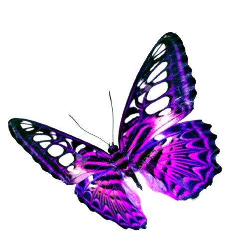 flower sitting butterfly png image Transparent background png image