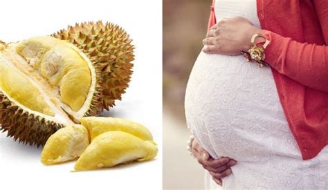 Sediakan camilan sehat awal kehamilan mungkin istri akan sering. Boleh Tak Makan Durian Ketika Mengandung? Ini Info Suami ...