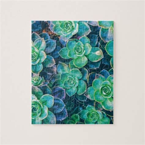 Succulents Succulent Cactus Cacti Green Plant Jigsaw Puzzle