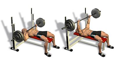 Ad esempio per l'allenamento dei pettorali bassi, molti eseguono spinte con manubri o croci su panca inclinata verso il basso. Allenati in palestra in base al tuo somatotipo - Parte 1 ...