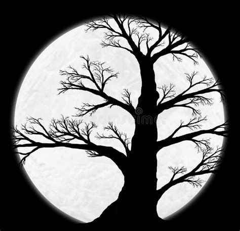 Moon Tree Silhouette Against Background Stock Vector Illustration Of