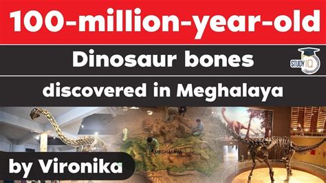 Sauropod Dinosaurs Bones Dating Back To 100 Million Years Found In