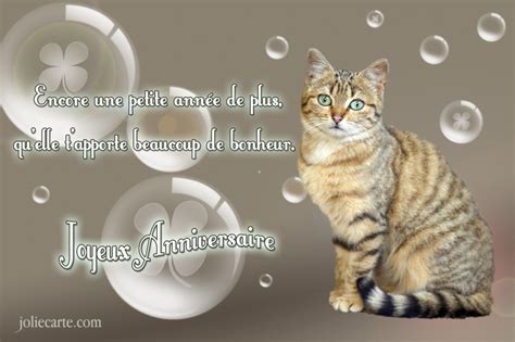 Cartes Virtuelles Joyeux Anniversaire Chat Joliecarte Verjaardag