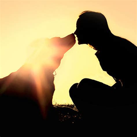 Pray along with them for pets, for vets, and for those who care for abused or neglected animals. Prayers for Lost, Sick and Dying Pets