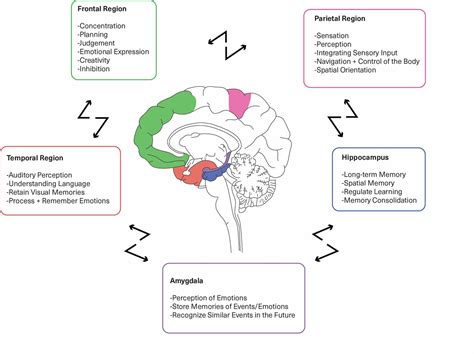 Cureus Neuroplasticity Improves Bipolar Disorder A Review