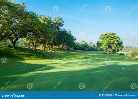 Golf Course Green Grass With Bluesky Stock Photo Image Of Golfer